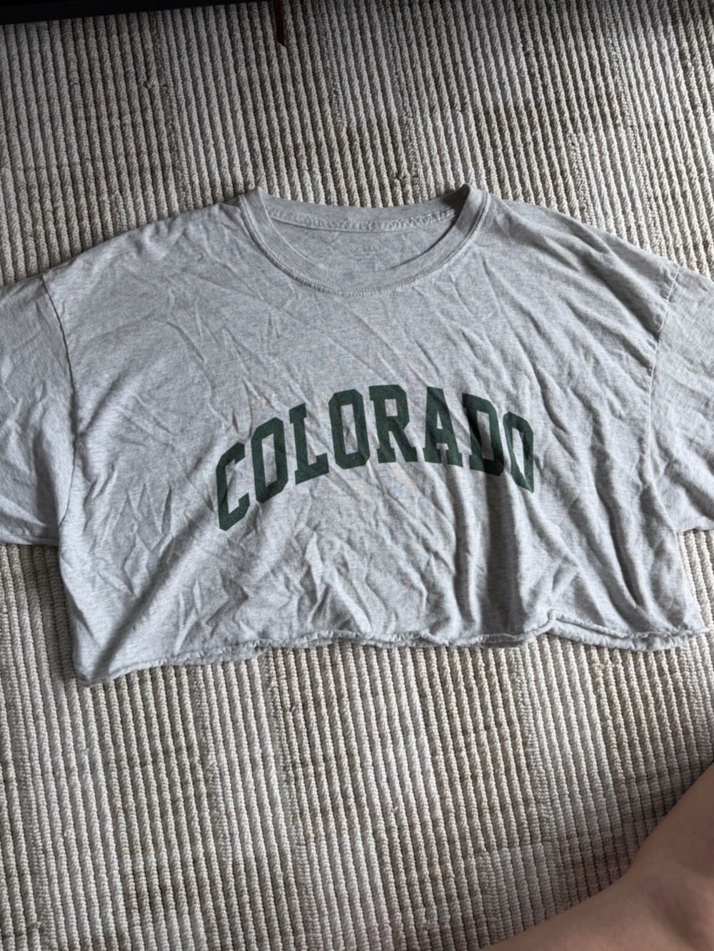 Brandy Melville Gray Cropped 'COLORADO' Tee with Dark Green Print